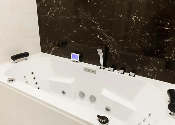 Montrachet 4 Personnes Vue Cathedrale 1 Place De Parking * Dijon