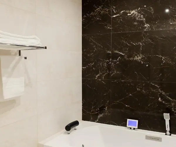 Apartment Montrachet 4 Personnes Vue Cathedrale 1 Place De Parking Dijon