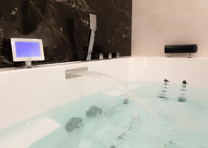 Montrachet 4 Personnes Vue Cathédrale 1 Place De Parking Digione